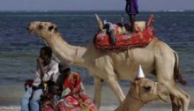 Kenya's Tourism